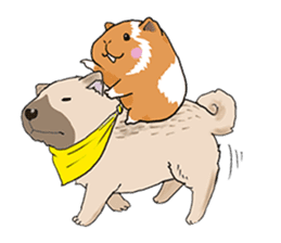 kawaii guinea pig Koo-chan sticker #1452989