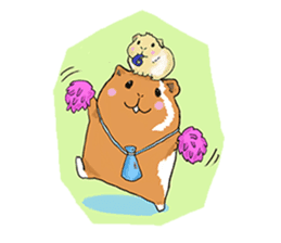 kawaii guinea pig Koo-chan sticker #1452990