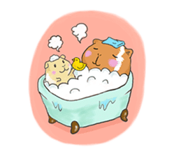 kawaii guinea pig Koo-chan sticker #1452991