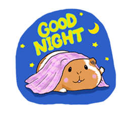 kawaii guinea pig Koo-chan sticker #1452992