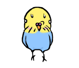 Parakeet party! sticker #1453877