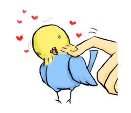 Parakeet party! sticker #1453899