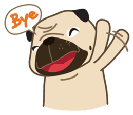 Kaoneaw vs Chaodum sticker #1453995