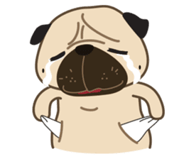 Kaoneaw vs Chaodum sticker #1454006