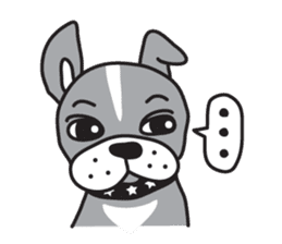 Boston terrier pug-Dog home "Baron" - sticker #1454476