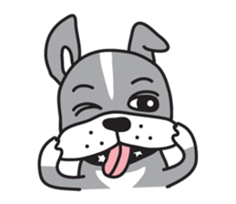 Boston terrier pug-Dog home "Baron" - sticker #1454477