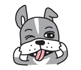 Boston terrier pug-Dog home "Baron" - sticker #1454477