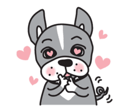 Boston terrier pug-Dog home "Baron" - sticker #1454478