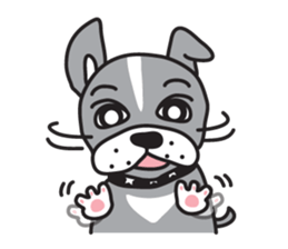 Boston terrier pug-Dog home "Baron" - sticker #1454479