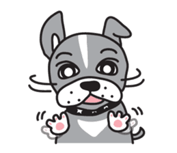 Boston terrier pug-Dog home "Baron" - sticker #1454479