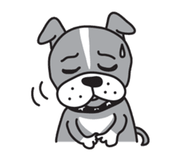 Boston terrier pug-Dog home "Baron" - sticker #1454480