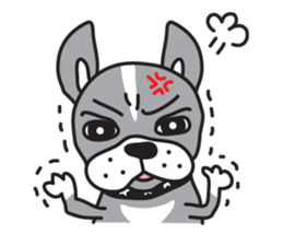 Boston terrier pug-Dog home "Baron" - sticker #1454482