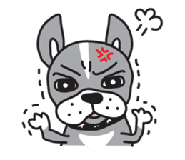 Boston terrier pug-Dog home "Baron" - sticker #1454482