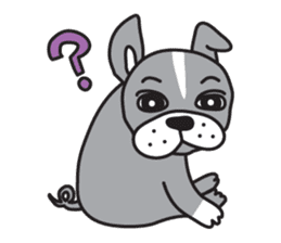 Boston terrier pug-Dog home "Baron" - sticker #1454483