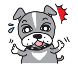 Boston terrier pug-Dog home "Baron" - sticker #1454485