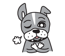 Boston terrier pug-Dog home "Baron" - sticker #1454488