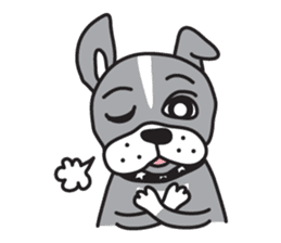 Boston terrier pug-Dog home "Baron" - sticker #1454488