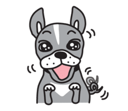 Boston terrier pug-Dog home "Baron" - sticker #1454489