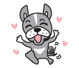 Boston terrier pug-Dog home "Baron" - sticker #1454490