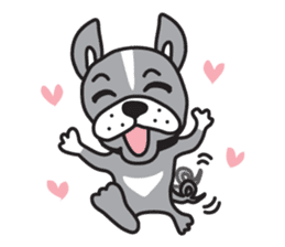 Boston terrier pug-Dog home "Baron" - sticker #1454490