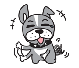 Boston terrier pug-Dog home "Baron" - sticker #1454491