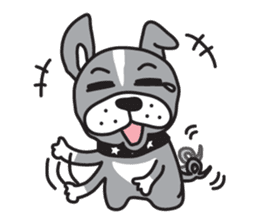 Boston terrier pug-Dog home "Baron" - sticker #1454491