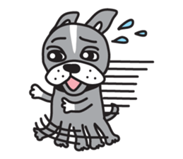 Boston terrier pug-Dog home "Baron" - sticker #1454494