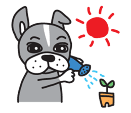 Boston terrier pug-Dog home "Baron" - sticker #1454496