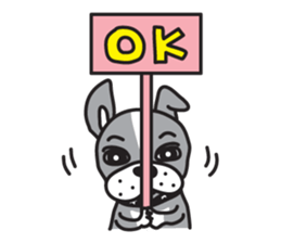 Boston terrier pug-Dog home "Baron" - sticker #1454498