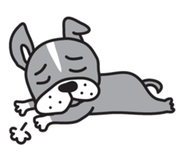 Boston terrier pug-Dog home "Baron" - sticker #1454507