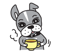 Boston terrier pug-Dog home "Baron" - sticker #1454508