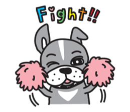 Boston terrier pug-Dog home "Baron" - sticker #1454509