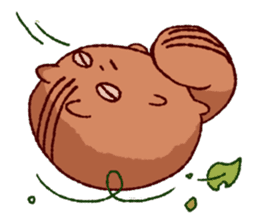 Funny squirrel TAMARIS Sticker sticker #1454939