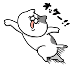 Funny cats of nojako sticker #1455595