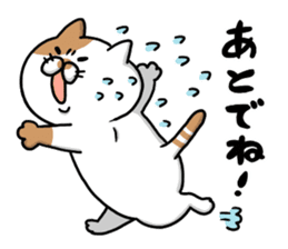 Funny cats of nojako sticker #1455596