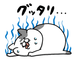 Funny cats of nojako sticker #1455598