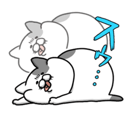 Funny cats of nojako sticker #1455599