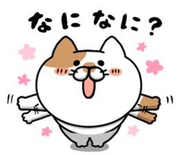 Funny cats of nojako sticker #1455606