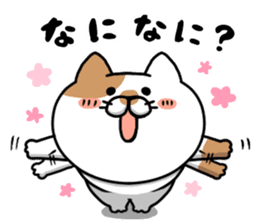 Funny cats of nojako sticker #1455606