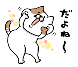 Funny cats of nojako sticker #1455607