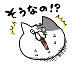 Funny cats of nojako sticker #1455615