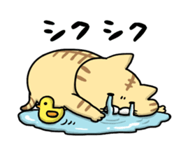 Funny cats of nojako sticker #1455619