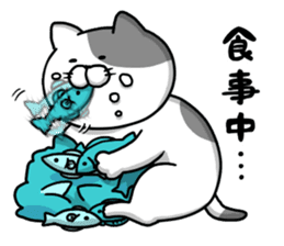 Funny cats of nojako sticker #1455626