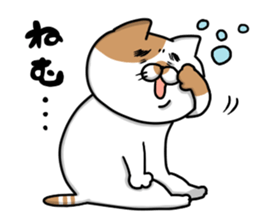 Funny cats of nojako sticker #1455628