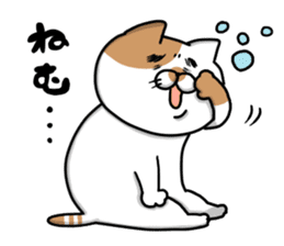 Funny cats of nojako sticker #1455628