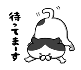 Funny cats of nojako sticker #1455633