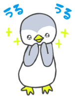 Pi-chan of penguin Japanese version sticker #1457299