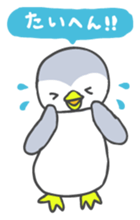 Pi-chan of penguin Japanese version sticker #1457308