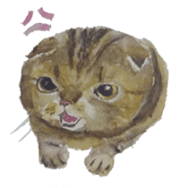 Tiggu Tiggu sticker #1460688