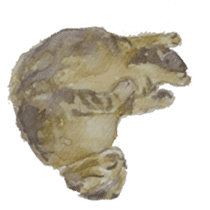 Tiggu Tiggu sticker #1460702